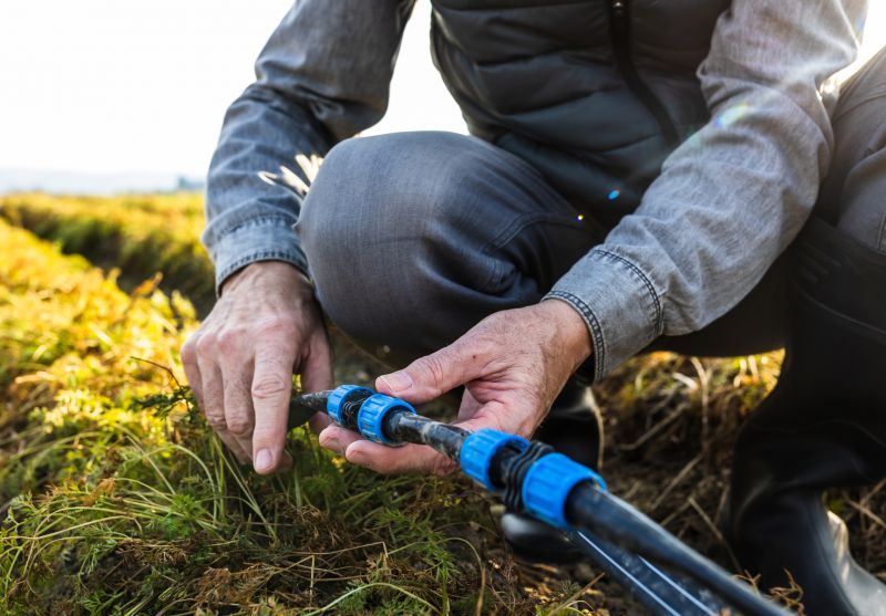 Sprinkler Controller Repair in Honolulu, HI