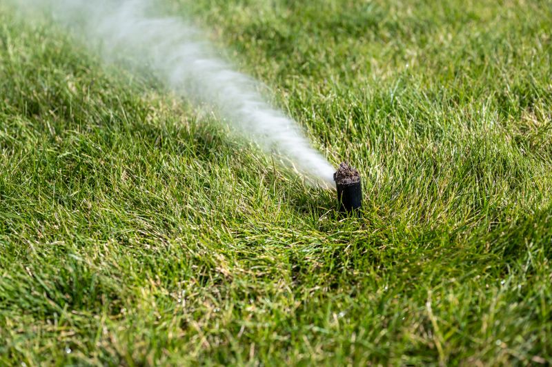 Sprinkler Winterizing Service